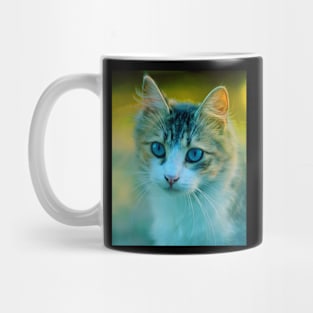 Cute kitten Mug